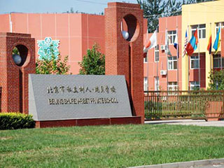 2022年北京市私立樹人瑞貝學校的教師質量如何？