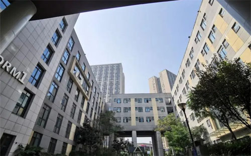 2025年重慶德普外國語學校國際高中招生信息