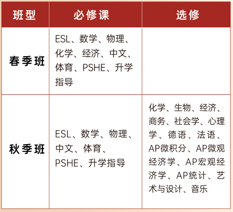 武漢經(jīng)開外國語學(xué)校國際高中2025年春季招生簡章