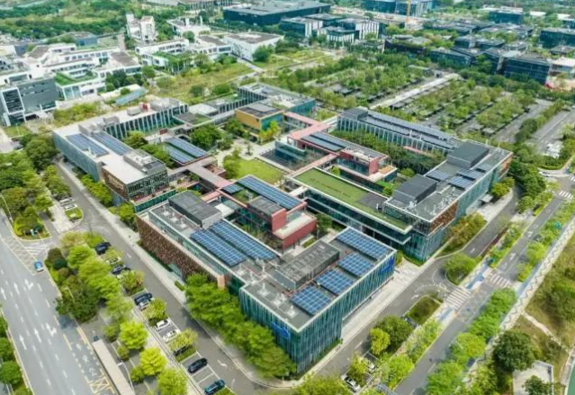 2025年深圳灣國際藝術教育招生學費、招生對象、招生年級
