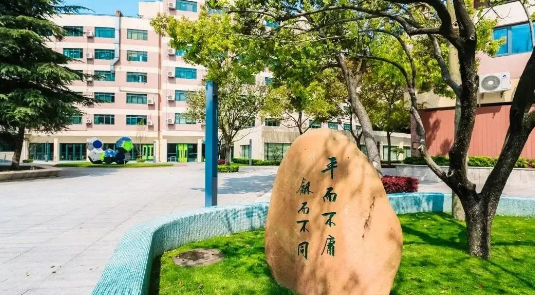 平和哲學、世外二外、WLSA上海菁英課程......盤點上海國際學?！皻⑹诛怠闭n程！