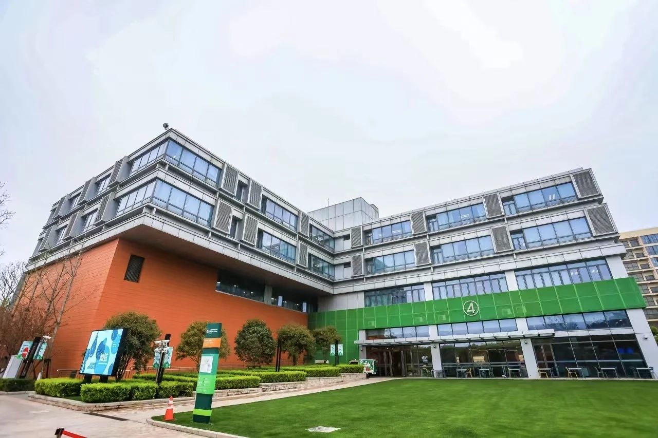 剛結束中考的江浙家庭，扎堆擠進滬上國際學校？