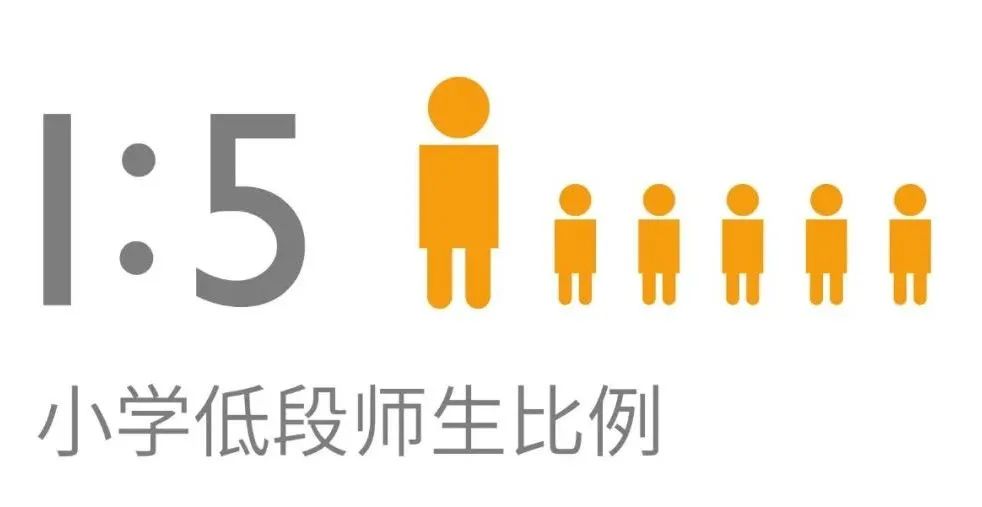 杭州惠立學校招生課程介紹
