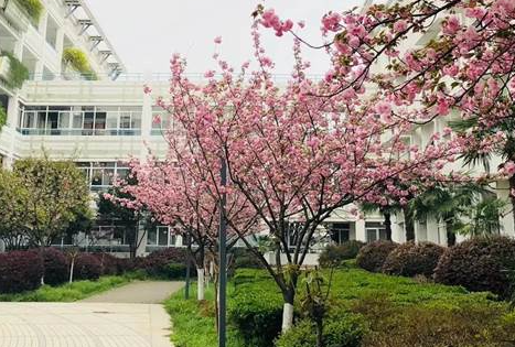 南京師范大學附屬實驗學校國際部招生簡章
