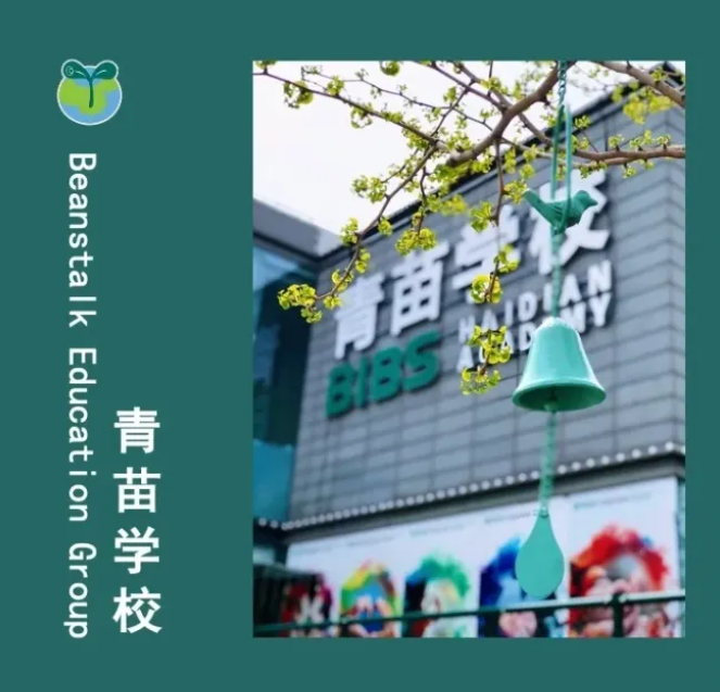 北京青苗學校國際部招生簡章