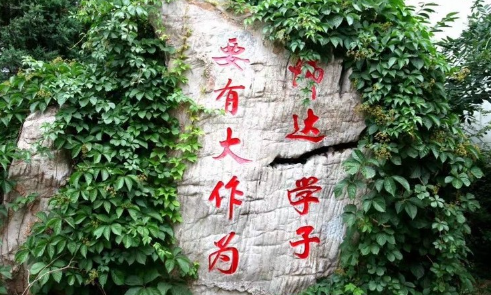 北京市師達中學國際部課程設置