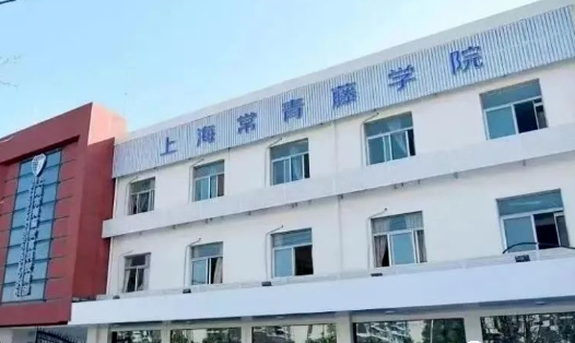 上海常青藤學校招生對象及入學步驟