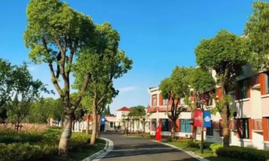 上海宏潤博源學校
