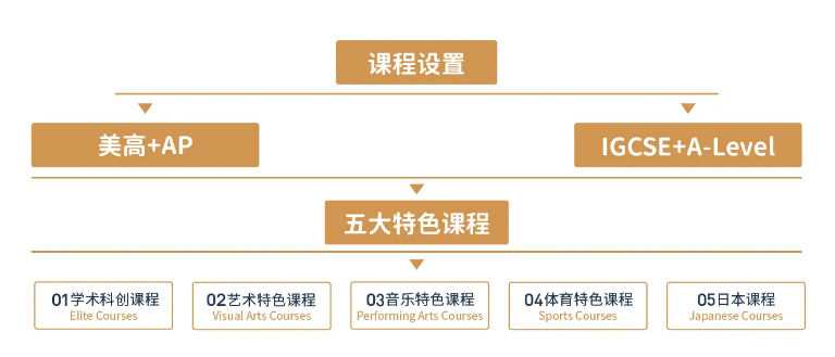 上海諾美學校日本SGU項目2025年招生簡章！