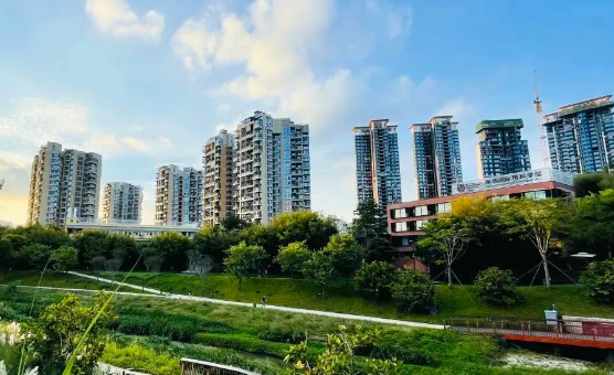 深圳IPC國際校區2025秋招：幼兒園至初中少量名額，課程特色全解析