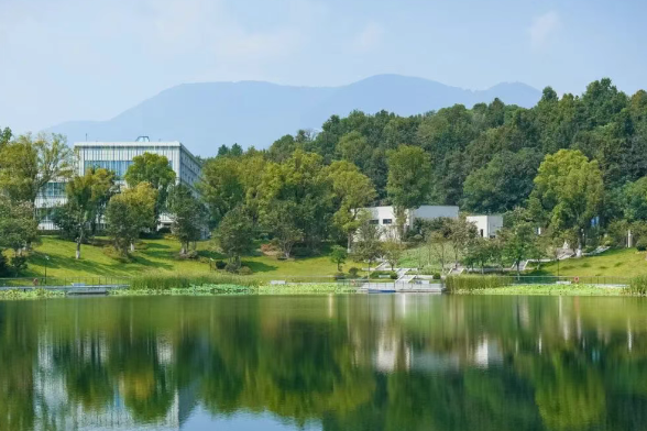 杭州威雅學校