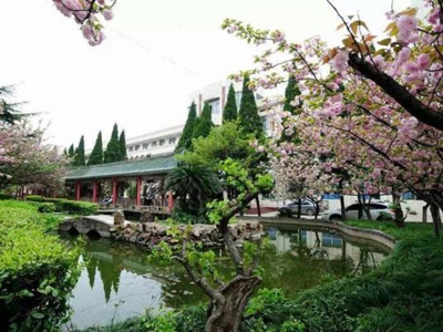 武鋼三中國(guó)際部中美國(guó)際班