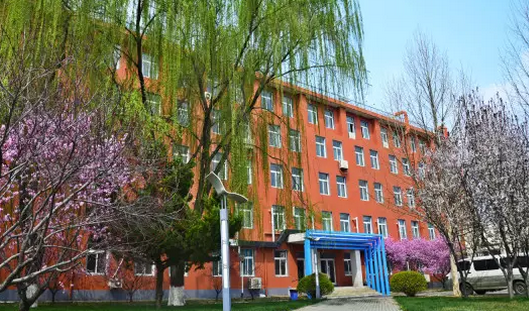 北京市新府學外國語學校